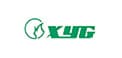 XYG (Xinyi Glass)